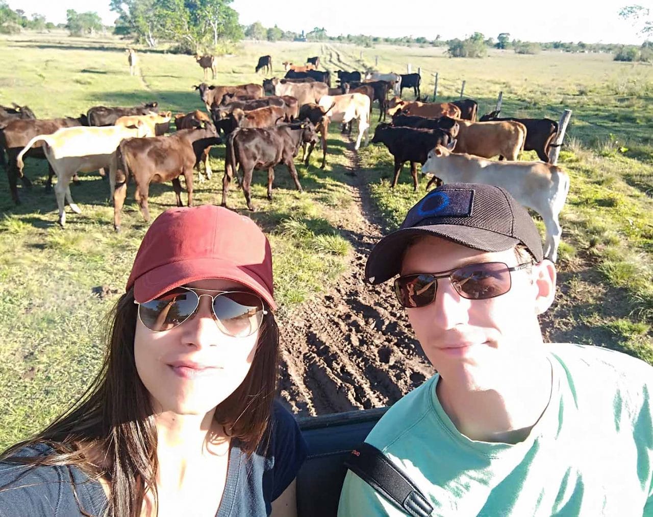 pantanal sul matogrossense 2 Guia do Estrangeiro