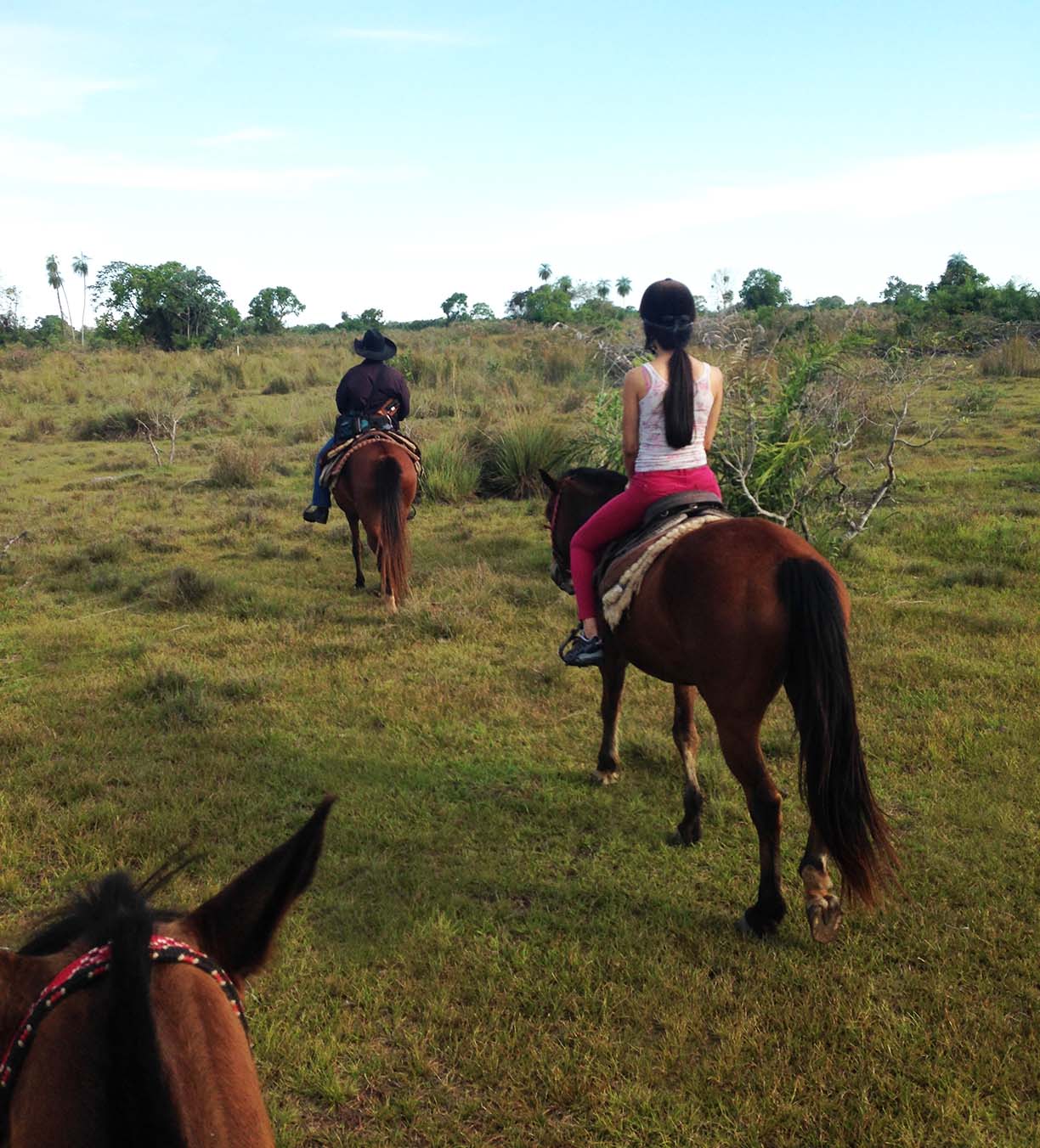 A cavalo, no Pantanal